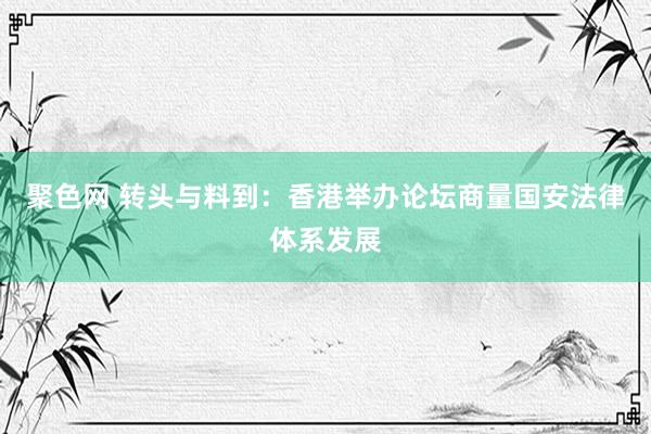 聚色网 转头与料到：香港举办论坛商量国安法律体系发展