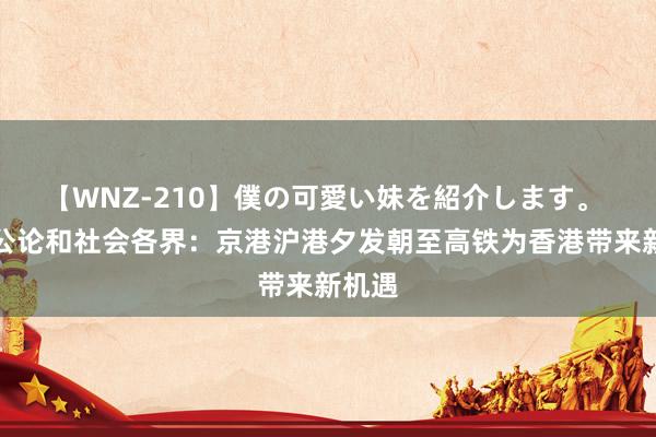 【WNZ-210】僕の可愛い妹を紹介します。 香港公论和社会各界：京港沪港夕发朝至高铁为香港带来新机遇