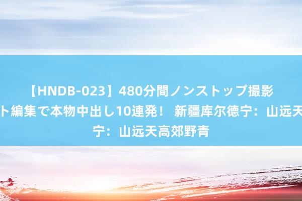 【HNDB-023】480分間ノンストップ撮影 ノーカット編集で本物中出し10連発！ 新疆库尔德宁：山远天高郊野青