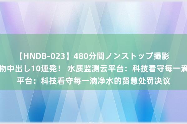 【HNDB-023】480分間ノンストップ撮影 ノーカット編集で本物中出し10連発！ 水质监测云平台：科技看守每一滴净水的贤慧处罚决议