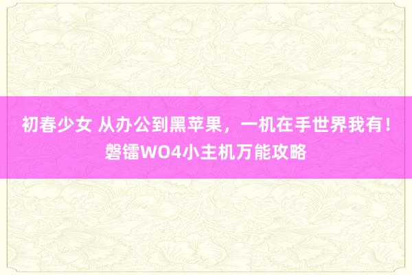 初春少女 从办公到黑苹果，一机在手世界我有！磐镭WO4小主机万能攻略