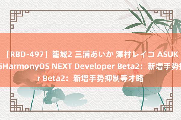 【RBD-497】籠城2 三浦あいか 澤村レイコ ASUKA 华为发布HarmonyOS NEXT Developer Beta2：新增手势抑制等才略