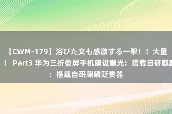 【CWM-179】浴びた女も感激する一撃！！大量顔射！！！ Part3 华为三折叠屏手机建设曝光：搭载自研麒麟贬责器