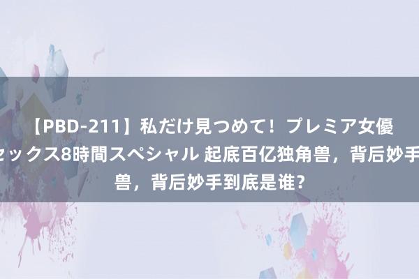 【PBD-211】私だけ見つめて！プレミア女優と主観でセックス8時間スペシャル 起底百亿独角兽，背后妙手到底是谁？