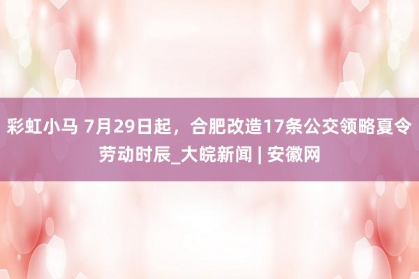 彩虹小马 7月29日起，合肥改造17条公交领略夏令劳动时辰_大皖新闻 | 安徽网