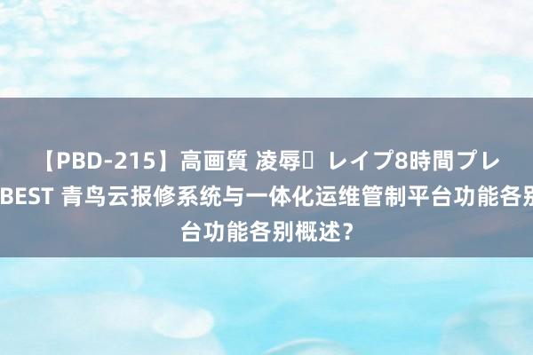 【PBD-215】高画質 凌辱・レイプ8時間プレミアムBEST 青鸟云报修系统与一体化运维管制平台功能各别概述？