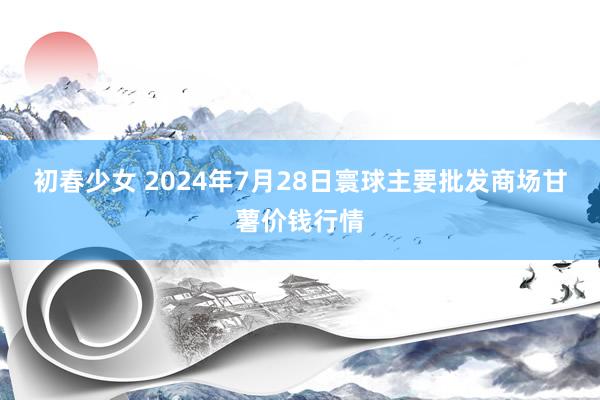 初春少女 2024年7月28日寰球主要批发商场甘薯价钱行情