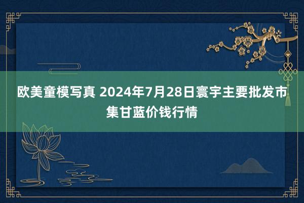 欧美童模写真 2024年7月28日寰宇主要批发市集甘蓝价钱行情