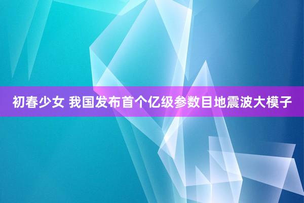 初春少女 我国发布首个亿级参数目地震波大模子