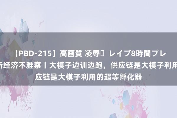 【PBD-215】高画質 凌辱・レイプ8時間プレミアムBEST 新经济不雅察丨大模子边训边跑，供应链是大模子利用的超等孵化器