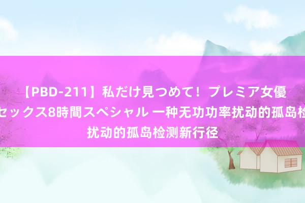 【PBD-211】私だけ見つめて！プレミア女優と主観でセックス8時間スペシャル 一种无功功率扰动的孤岛检测新行径