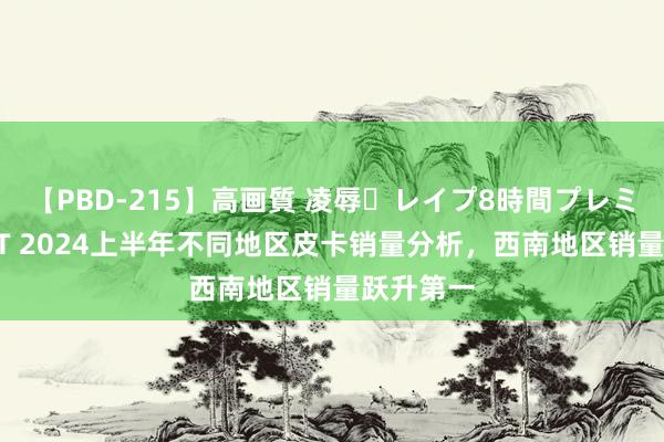 【PBD-215】高画質 凌辱・レイプ8時間プレミアムBEST 2024上半年不同地区皮卡销量分析，西南地区销量跃升第一