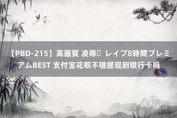 【PBD-215】高画質 凌辱・レイプ8時間プレミアムBEST 支付宝花呗不错提现到银行卡吗