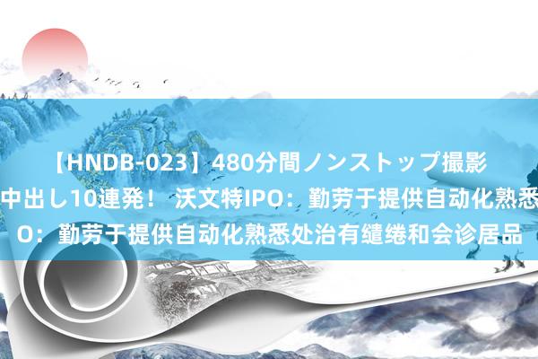 【HNDB-023】480分間ノンストップ撮影 ノーカット編集で本物中出し10連発！ 沃文特IPO：勤劳于提供自动化熟悉处治有缱绻和会诊居品