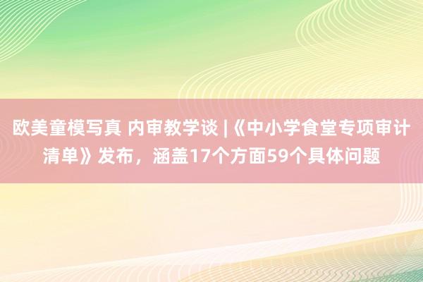 欧美童模写真 内审教学谈 |《中小学食堂专项审计清单》发布，涵盖17个方面59个具体问题