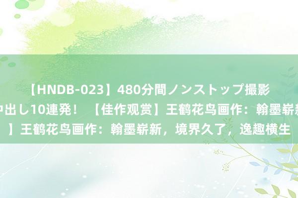 【HNDB-023】480分間ノンストップ撮影 ノーカット編集で本物中出し10連発！ 【佳作观赏】王鹤花鸟画作：翰墨崭新，境界久了，逸趣横生