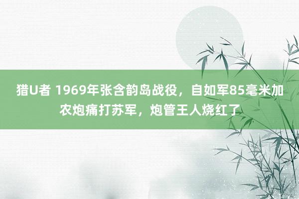 猎U者 1969年张含韵岛战役，自如军85毫米加农炮痛打苏军，炮管王人烧红了