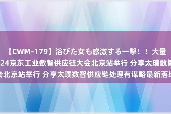 【CWM-179】浴びた女も感激する一撃！！大量顔射！！！ Part3 2024京东工业数智供应链大会北京站举行 分享太璞数智供应链处理有谋略最新落地效率