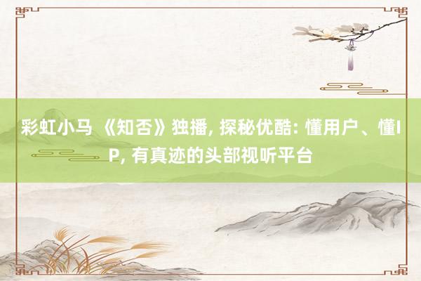 彩虹小马 《知否》独播, 探秘优酷: 懂用户、懂IP, 有真迹的头部视听平台