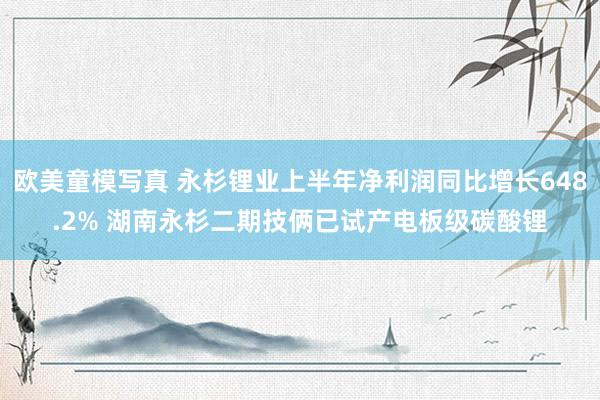 欧美童模写真 永杉锂业上半年净利润同比增长648.2% 湖南永杉二期技俩已试产电板级碳酸锂