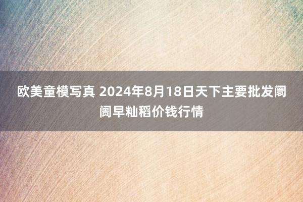 欧美童模写真 2024年8月18日天下主要批发阛阓早籼稻价钱行情