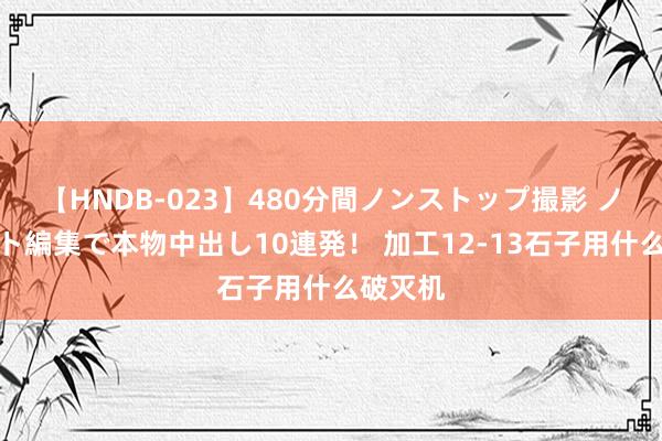 【HNDB-023】480分間ノンストップ撮影 ノーカット編集で本物中出し10連発！ 加工12-13石子用什么破灭机