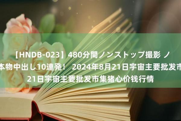 【HNDB-023】480分間ノンストップ撮影 ノーカット編集で本物中出し10連発！ 2024年8月21日宇宙主要批发市集猪心价钱行情