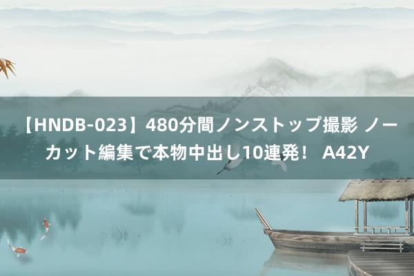 【HNDB-023】480分間ノンストップ撮影 ノーカット編集で本物中出し10連発！ A42Y