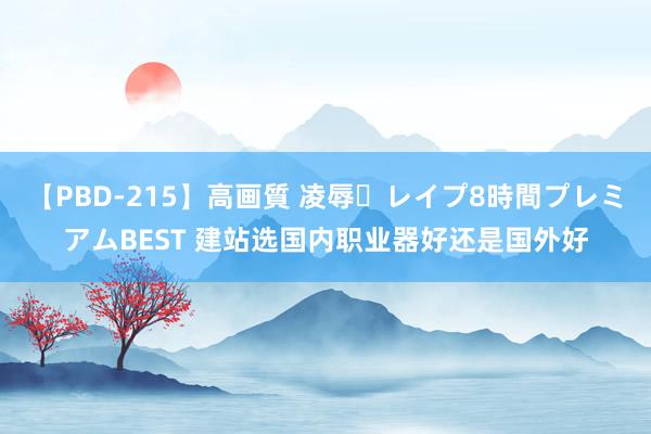 【PBD-215】高画質 凌辱・レイプ8時間プレミアムBEST 建站选国内职业器好还是国外好