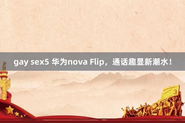 gay sex5 华为nova Flip，通话趣显新潮水！