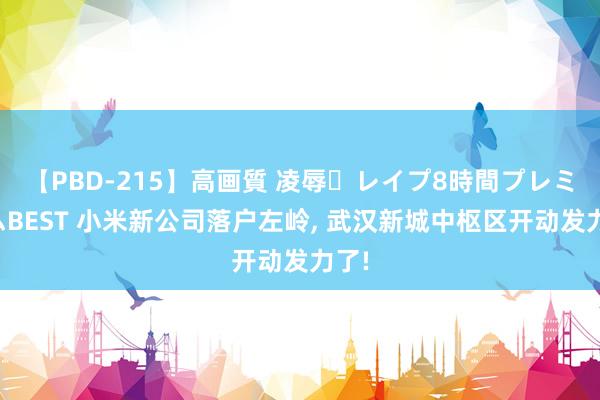 【PBD-215】高画質 凌辱・レイプ8時間プレミアムBEST 小米新公司落户左岭, 武汉新城中枢区开动发力了!