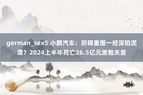 german_sex5 小鹏汽车：防碍重围一经深陷泥潭？2024上半年死亡26.5亿元激勉关爱