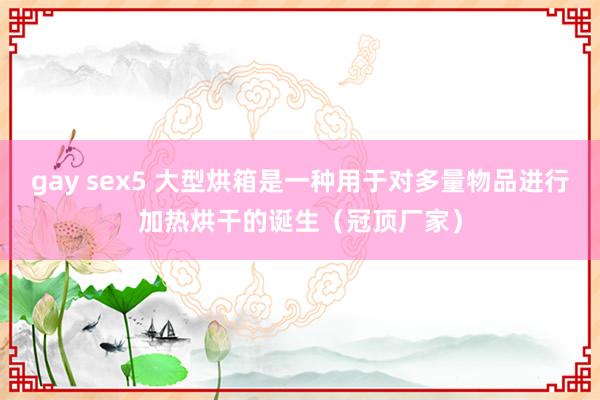 gay sex5 大型烘箱是一种用于对多量物品进行加热烘干的诞生（冠顶厂家）