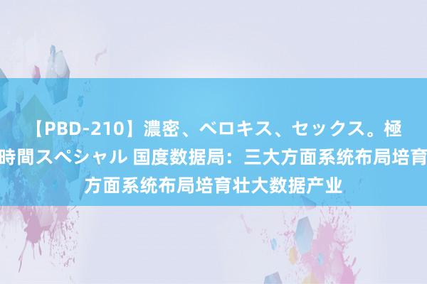 【PBD-210】濃密、ベロキス、セックス。極上接吻性交 8時間スペシャル 国度数据局：三大方面系统布局培育壮大数据产业