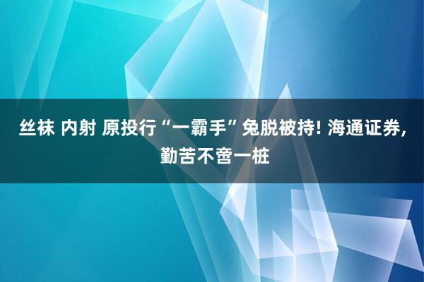 丝袜 内射 原投行“一霸手”兔脱被持! 海通证券, 勤苦不啻一桩