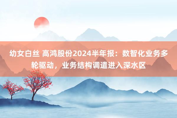 幼女白丝 高鸿股份2024半年报：数智化业务多轮驱动，业务结构调遣进入深水区