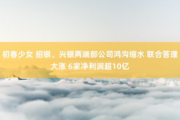 初春少女 招银、兴银两端部公司鸿沟缩水 联合答理大涨 6家净利润超10亿