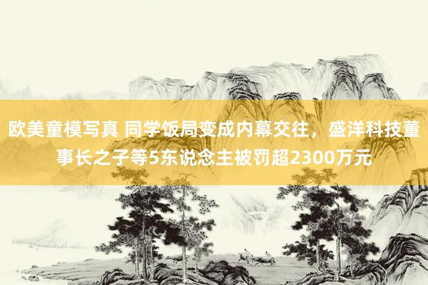 欧美童模写真 同学饭局变成内幕交往，盛洋科技董事长之子等5东说念主被罚超2300万元