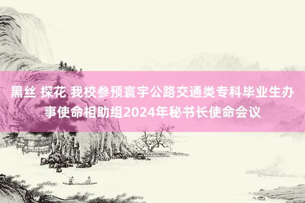 黑丝 探花 我校参预寰宇公路交通类专科毕业生办事使命相助组2024年秘书长使命会议