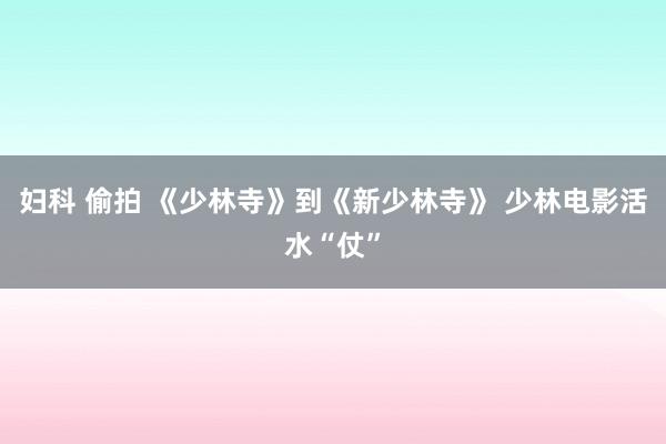 妇科 偷拍 《少林寺》到《新少林寺》 少林电影活水“仗”