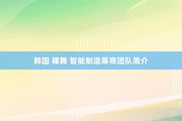 韩国 裸舞 智能制造筹商团队简介