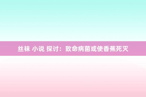 丝袜 小说 探讨：致命病菌或使香蕉死灭