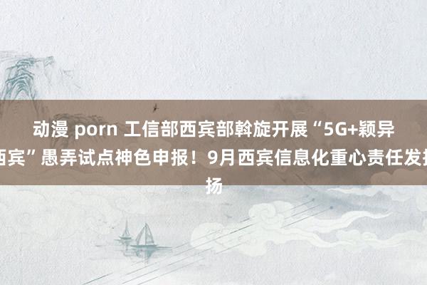 动漫 porn 工信部西宾部斡旋开展“5G+颖异西宾”愚弄试点神色申报！9月西宾信息化重心责任发扬